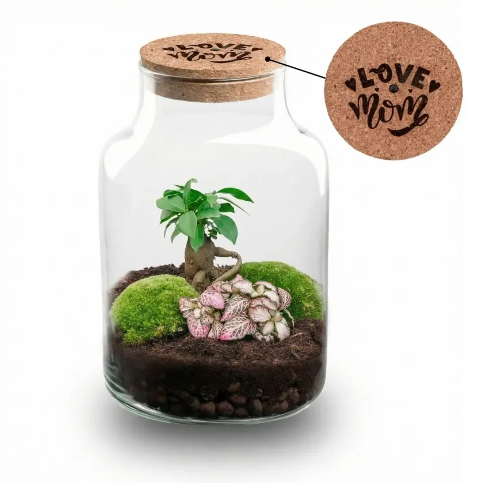 Urbanjungl Little Milky terrarium DIY kit LOVE MOM 25 cm