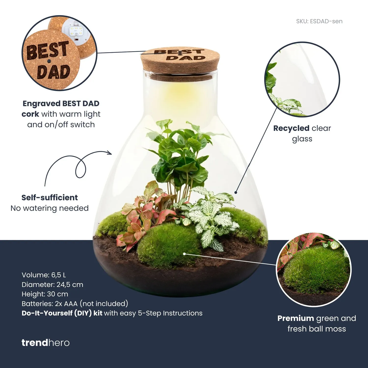 Urbanjungl Sam Vaderdag terrarium DIY kit LED kurk