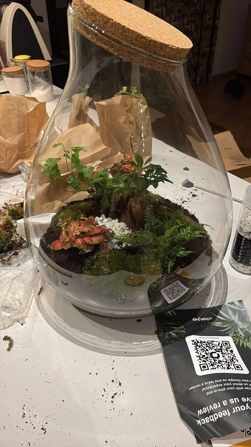 Urbanjungl Drop XXL Bonsai terrarium Ø 34 cm DIY kit
