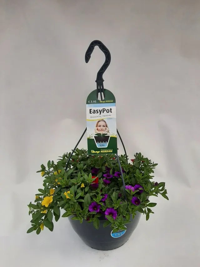 Tuincentrum Heerdink Callibrachoa Tropicana hangplant mix