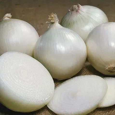 The Natural World witte ui Tonda Musona moestuinui zoet