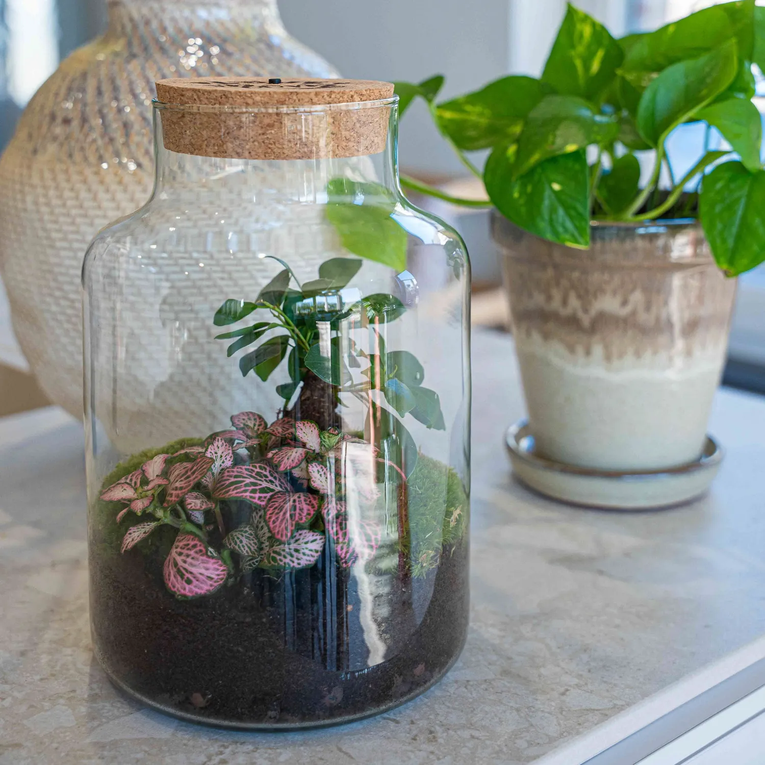 Urbanjungl Little Milky terrarium DIY kit LOVE MOM 25 cm