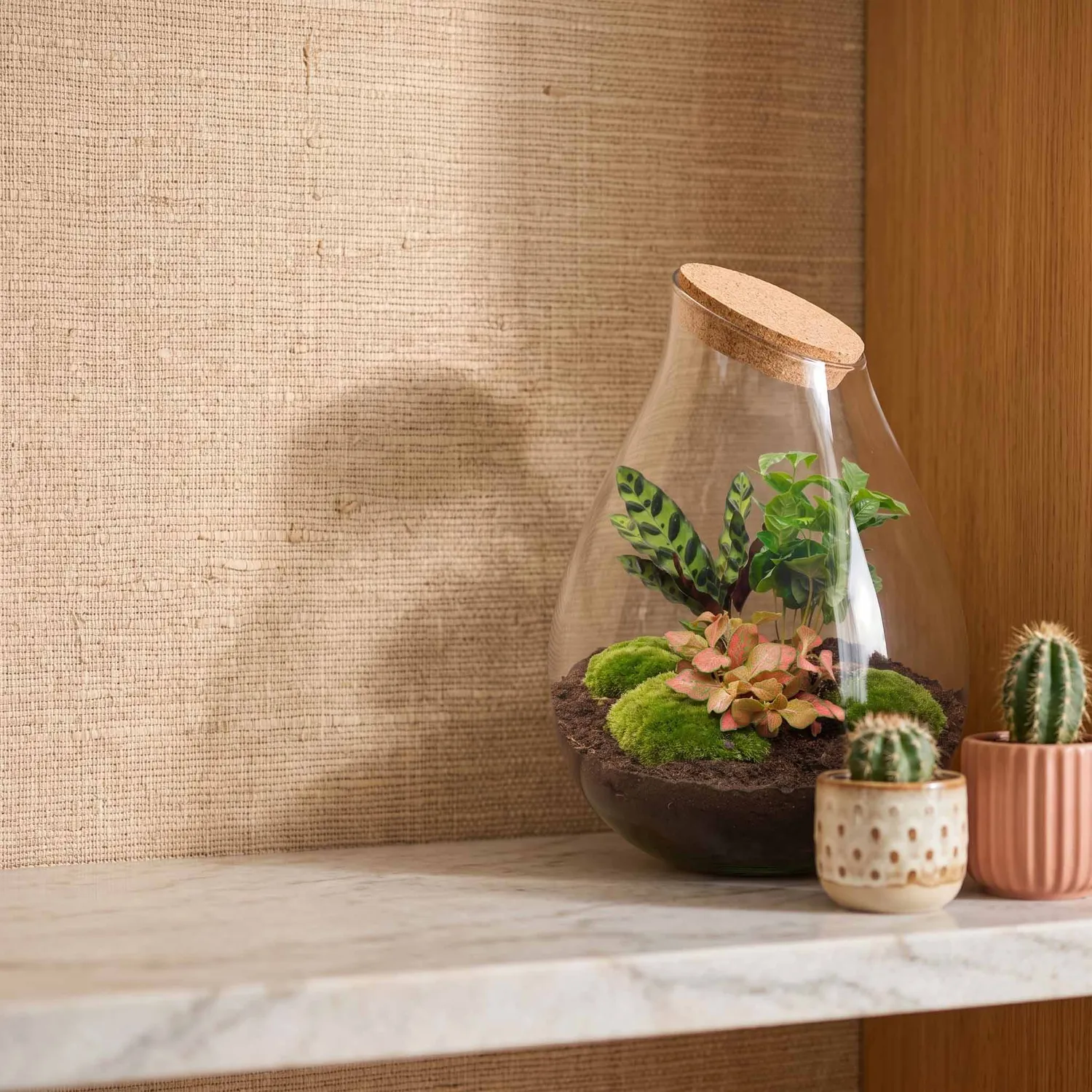 Urbanjungl Drop XXL Rood terrarium DIY kit met kurk Ø34 cm