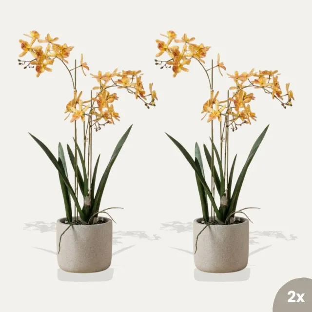 Urbanjungl Renanthera orchidee kunstplanten 2 stuks oranje