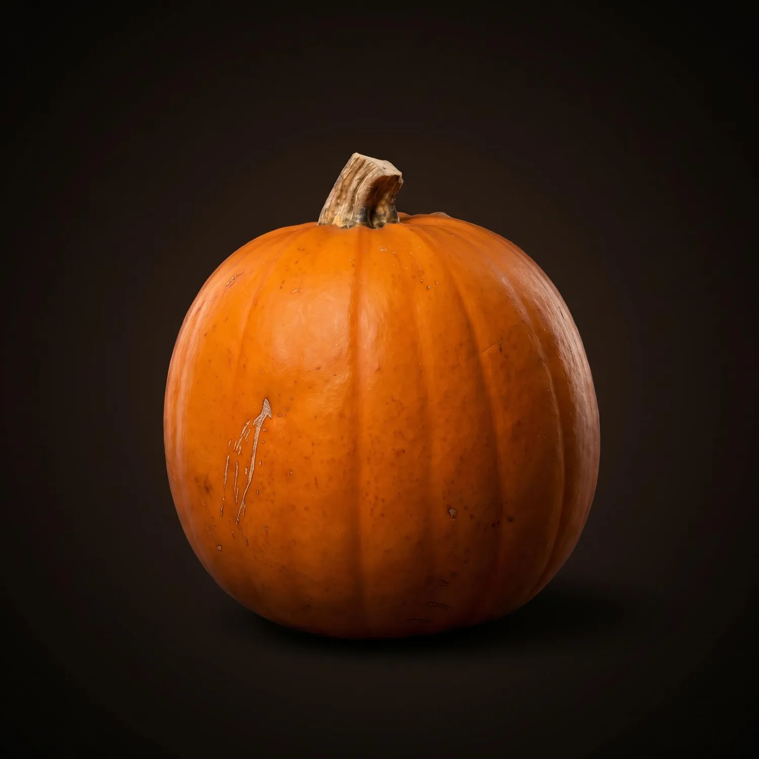 Urbanjungl Halloween pompoen echt oranje Ø 16 cm 1,4 kg