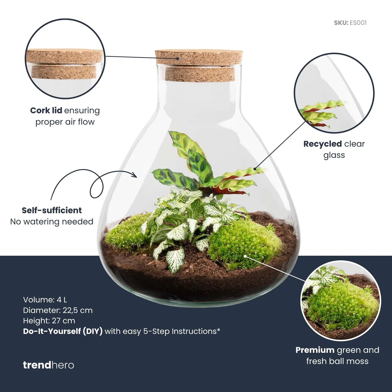 Urbanjungl Sammie Terrarium DIY kit Ø22,5 cm calathea