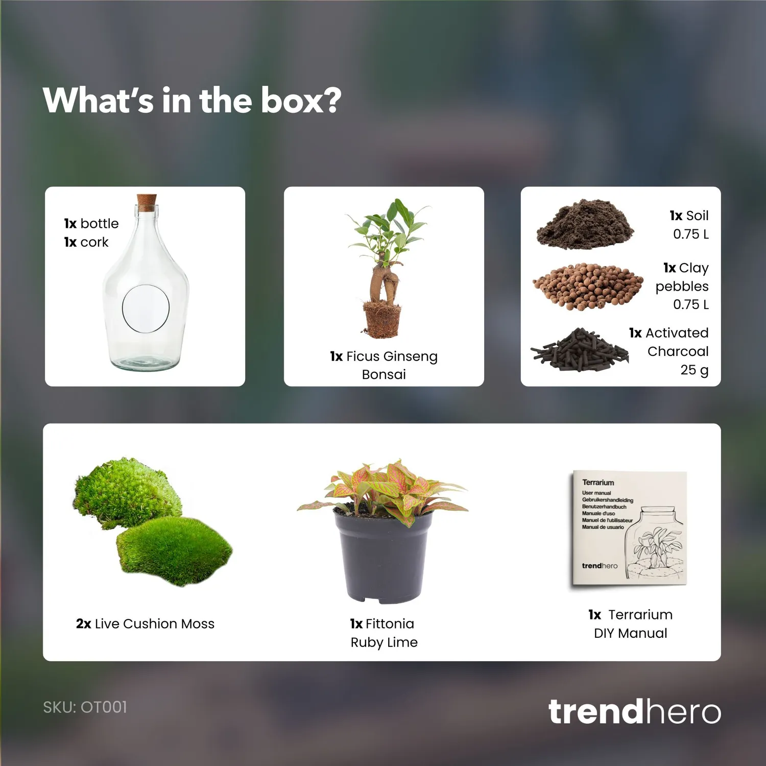 Urbanjungl John open terrarium DIY-kit Ø 16 cm