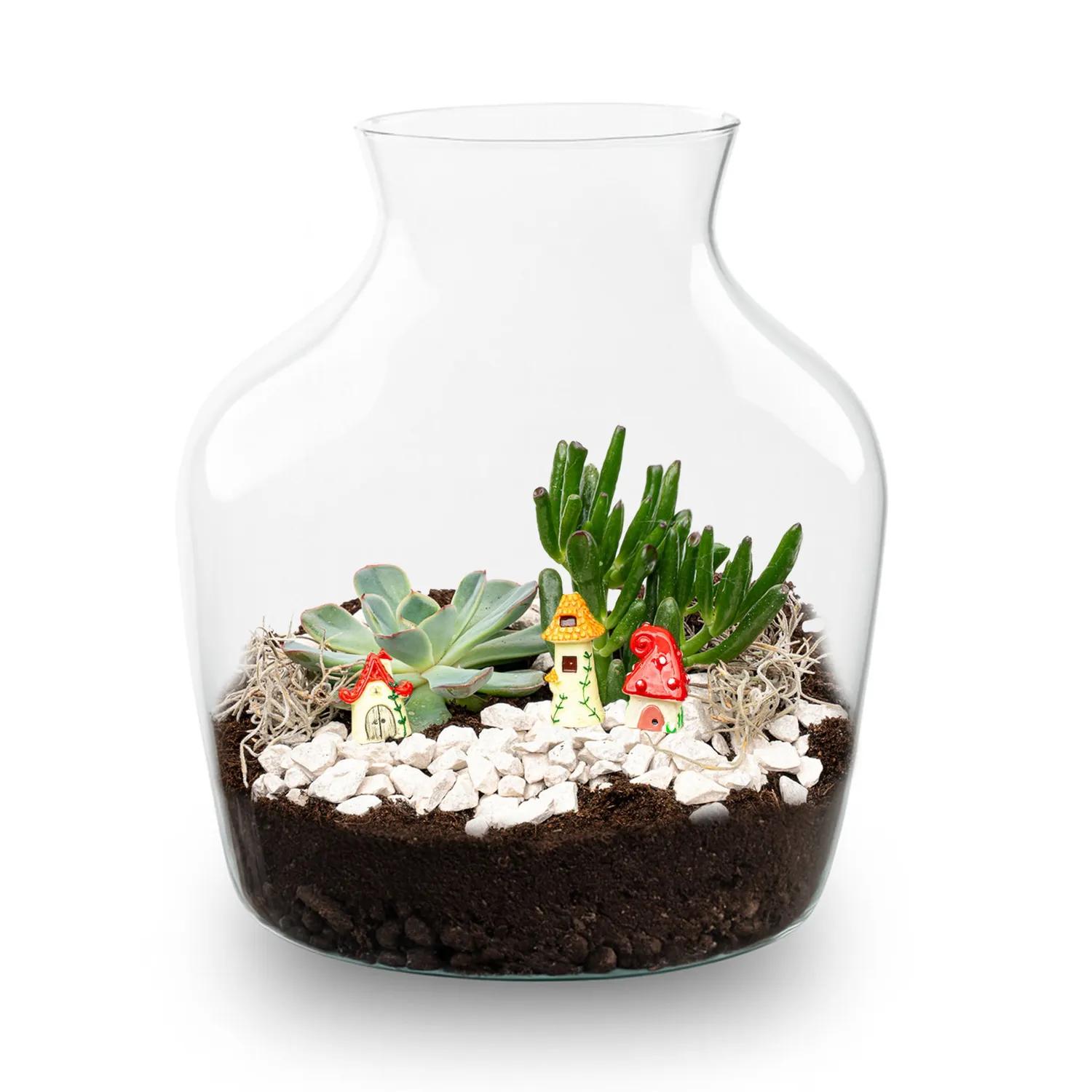 Little Joe Succulent open terrarium DIY kit Ø 20 cm 22 cm