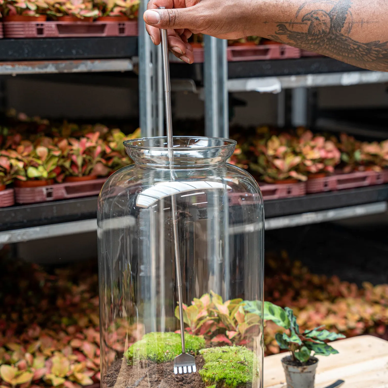 Urbanjungl Terrarium Tool hark telescopisch RVS 49 cm