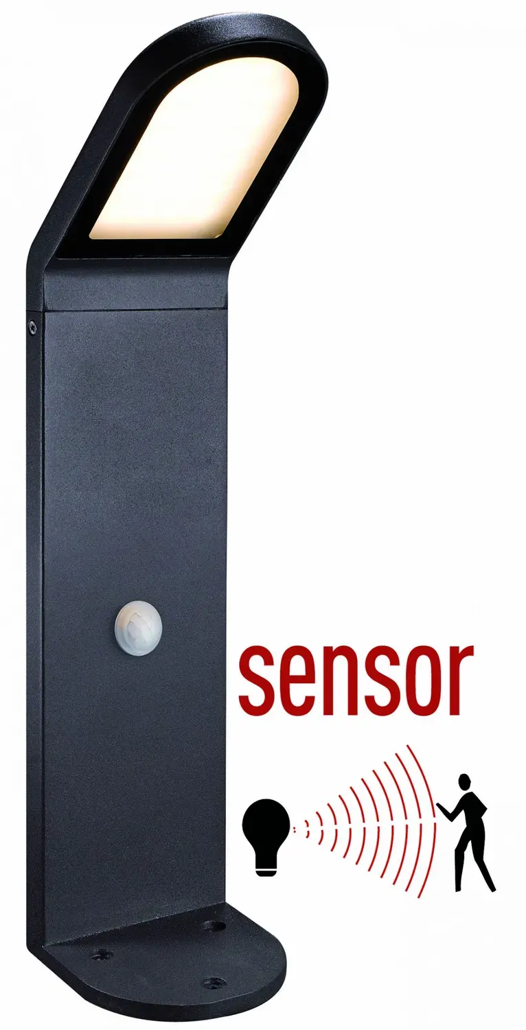 Tuincentrum Heerdink Sensor tuinlamp 50cm zwart 9W 3000K