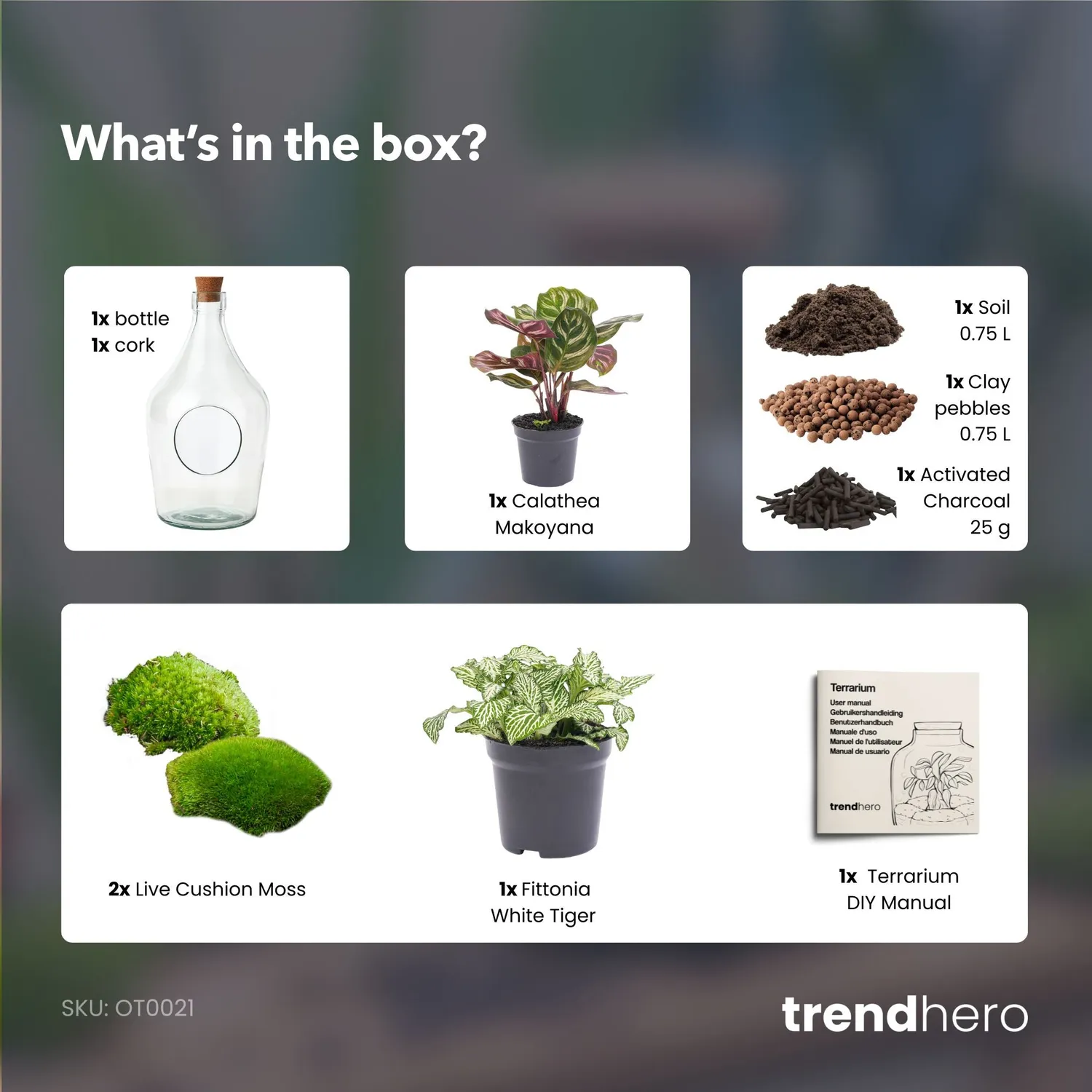 Urbanjungl Joss terrarium open met kurk Ø 16 cm