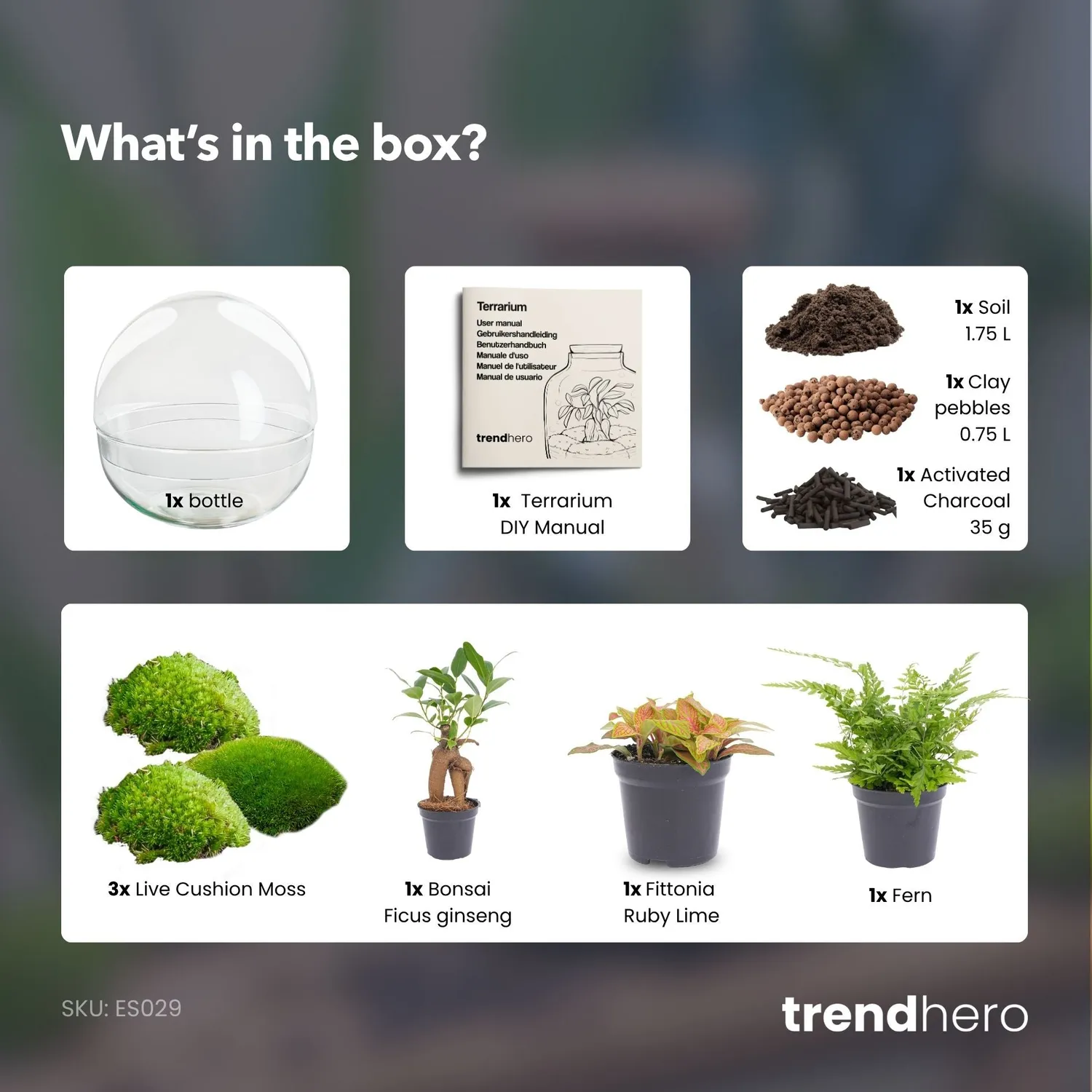 Urbanjungl Dome XL Terrarium DIY kit Ø28 cm bonsai