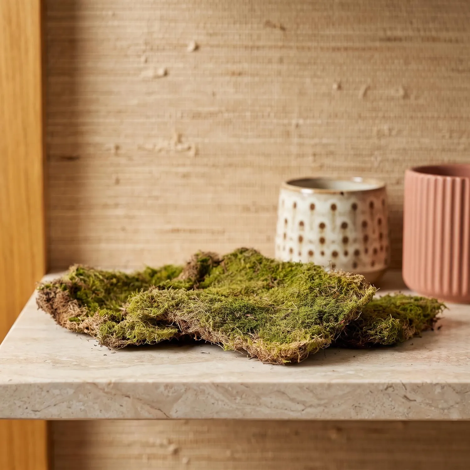 Urbanjungl platmos gedroogd groen 30x20cm 1 doos