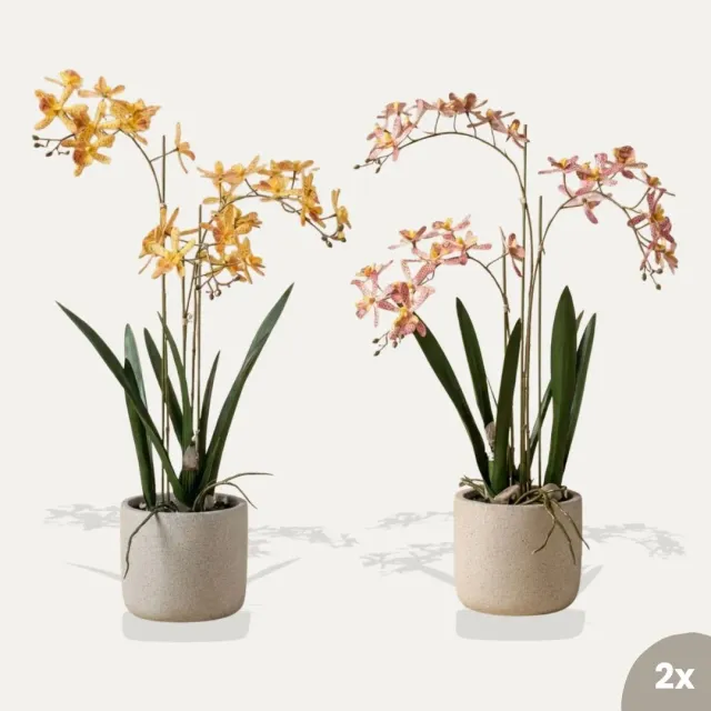 Urbanjungl Renanthera orchidee kunstplanten 2 stuks geel roze