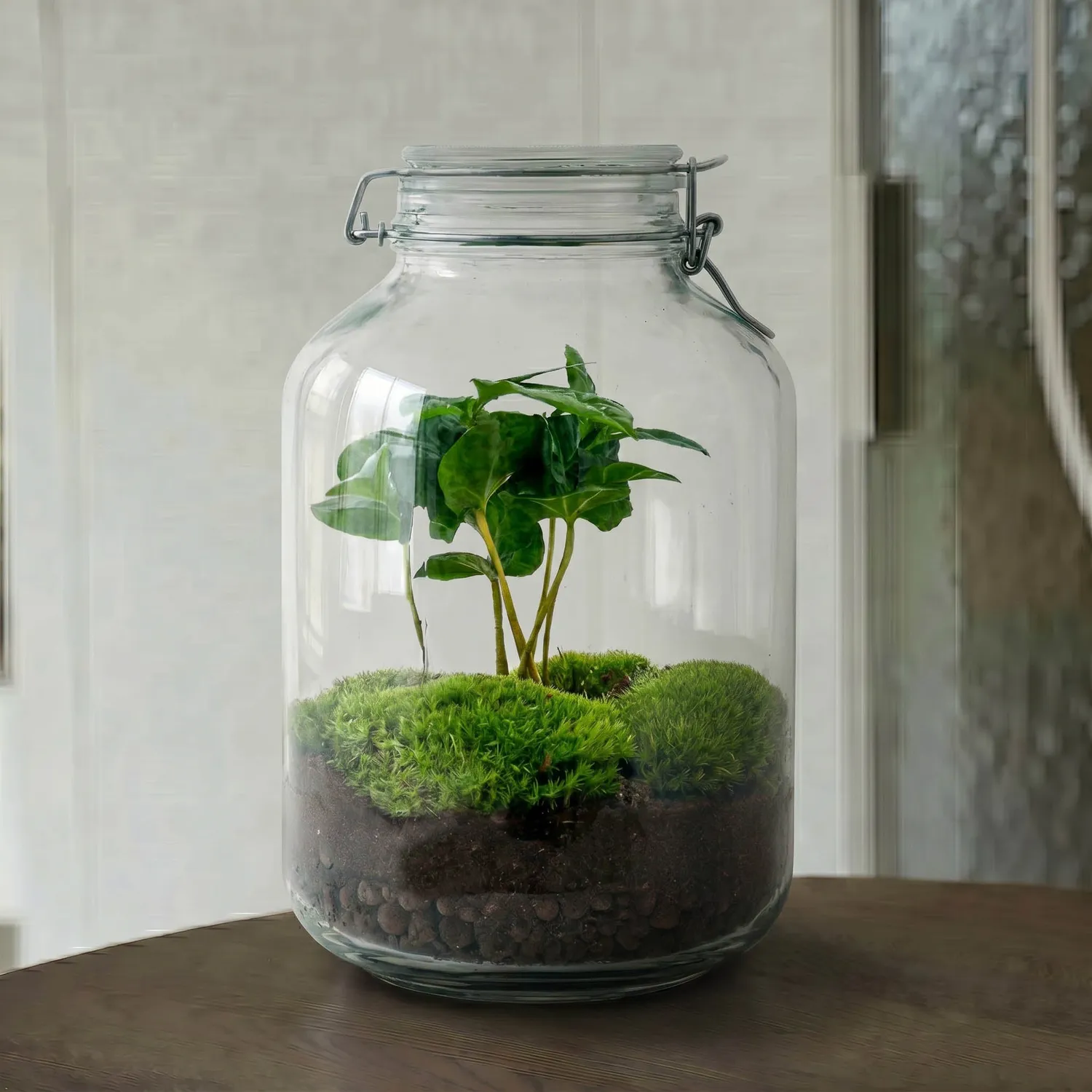 Urbanjungl Jar Bonsai planten terrarium DIY kit Ø18 cm