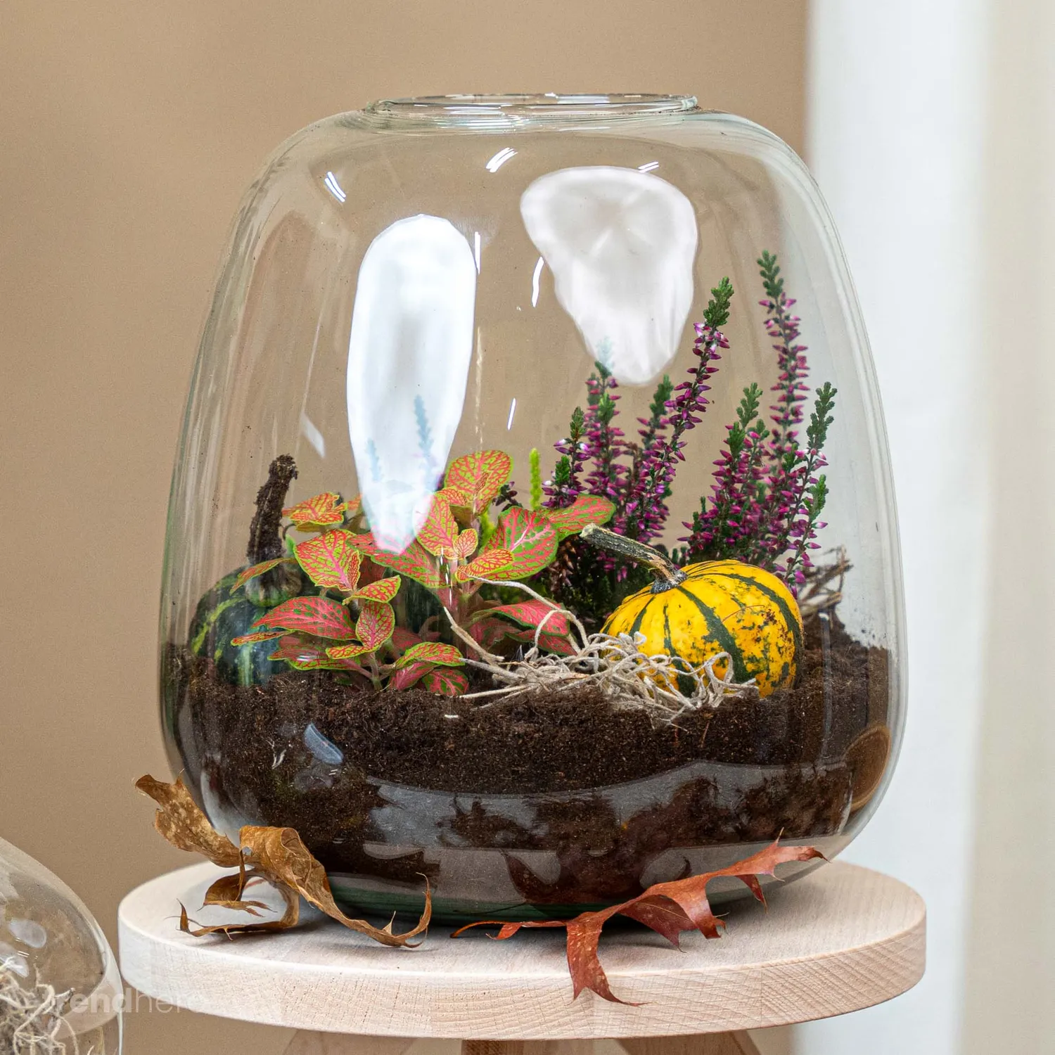 Urbanjungl Emma Autumn herfst terrarium DIY-set