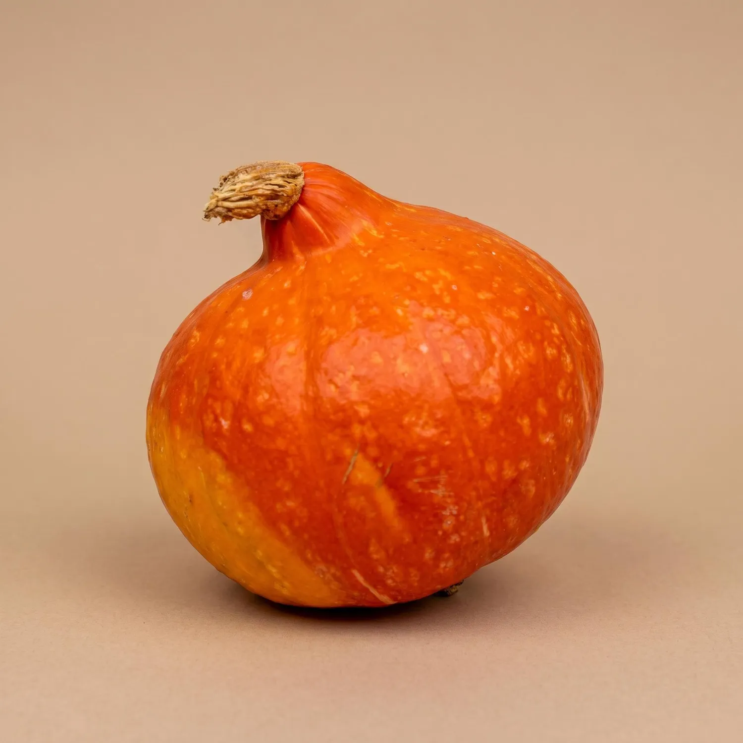 Urbanjungl Hokkaido pompoen deco echt oranje Ø 17 cm 1,5 kg