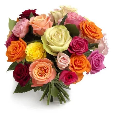 Planten & Zo Rozen boeket vers