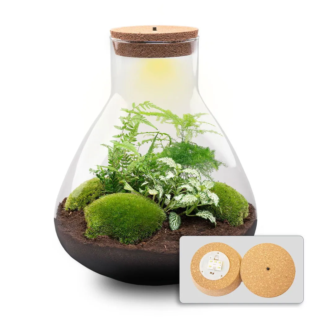 Urbanjungl Sam XL plantenterrarium DIY kit met licht 30 cm