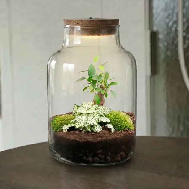 Urbanjungl Little Milky plantenterrarium DIY kit met licht 17 cm