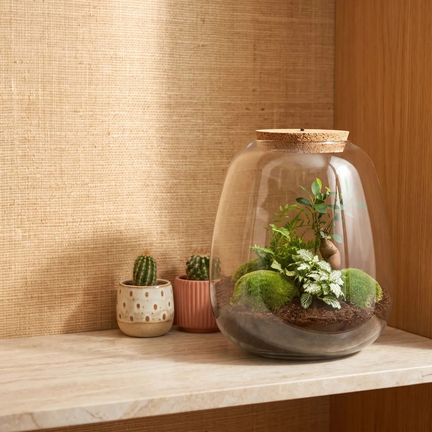 Urbanjungl Emma terrarium DIY kit bonsai white met licht Ø 23 cm