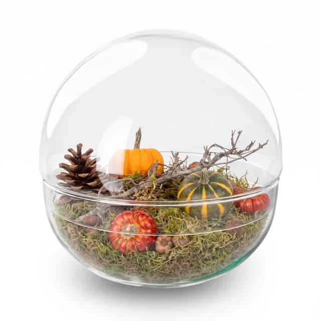 Urbanjungl Dome XL herfst terrarium stolp 28 cm deco kit