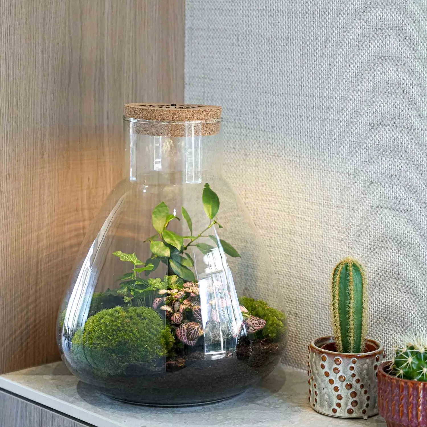 Urbanjungl Sam LOVE MOM terrarium DIY kit met licht