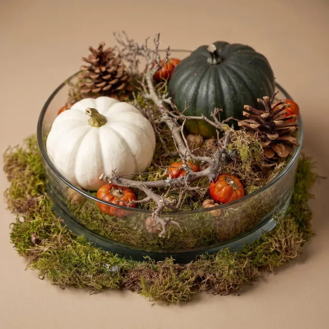 Urbanjungl Herfstschaal Pompoen Groot schaal 2 pompoenen