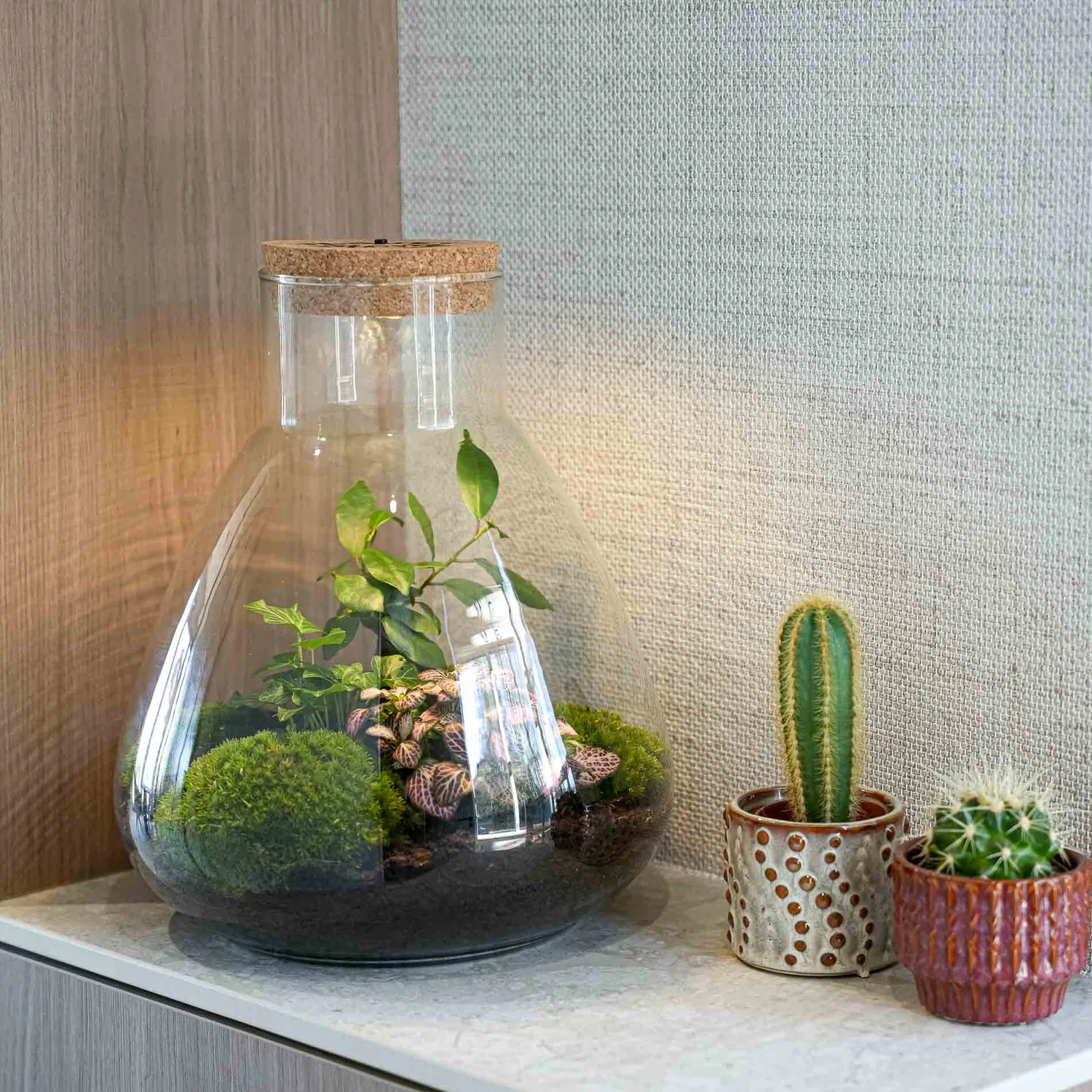 Urbanjungl Sam LOVE MOM terrarium DIY kit met licht
