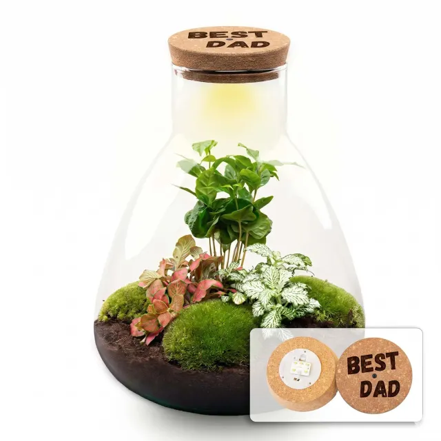 Urbanjungl Sam Vaderdag terrarium DIY kit LED kurk