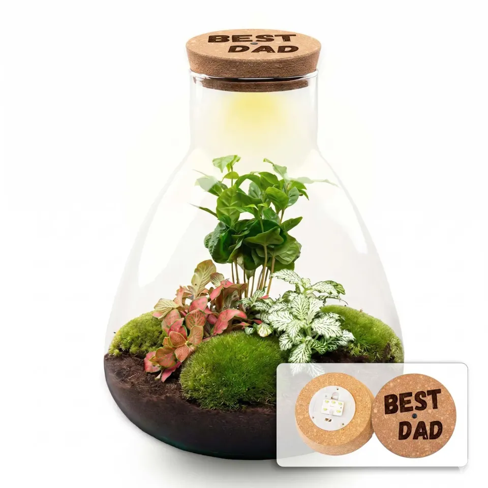 Urbanjungl Sam Vaderdag terrarium DIY kit LED kurk