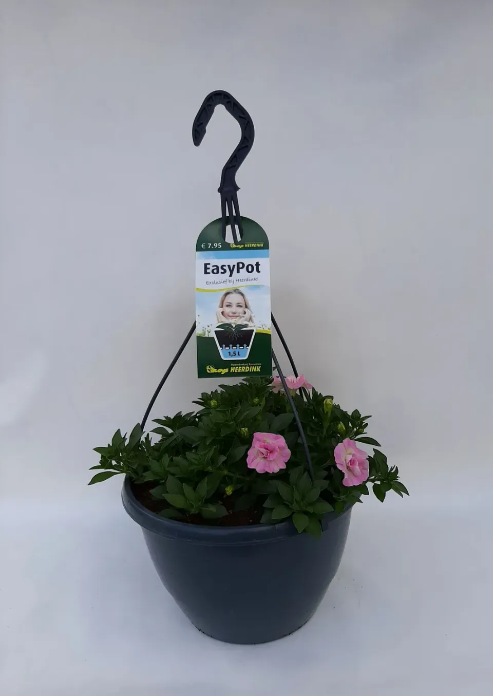 Tuincentrum Heerdink Hangpetunia Light Pink petunia lichtroze