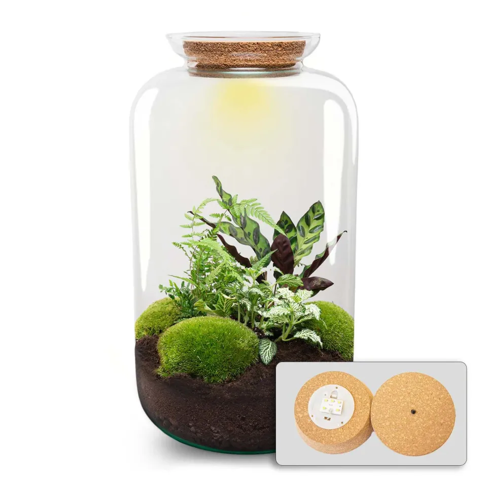 Urbanjungl Sven XL Botanisch planten terrarium LED