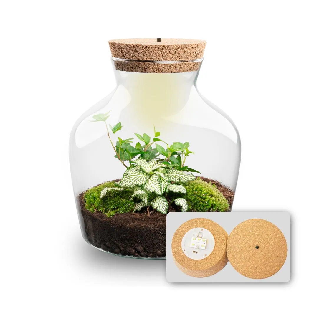 Urbanjungl Little Joe Terrarium met licht Ø20 cm