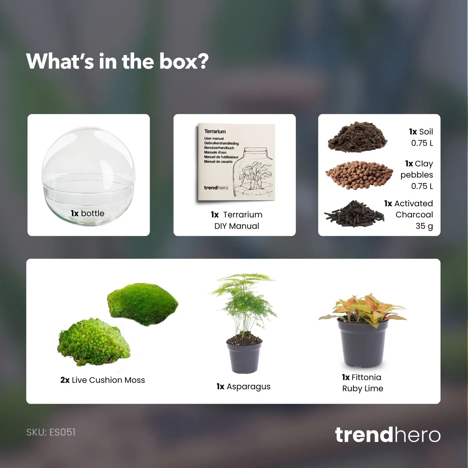 Urbanjungl Dome Rood terrarium DIY kit Ø 20 cm
