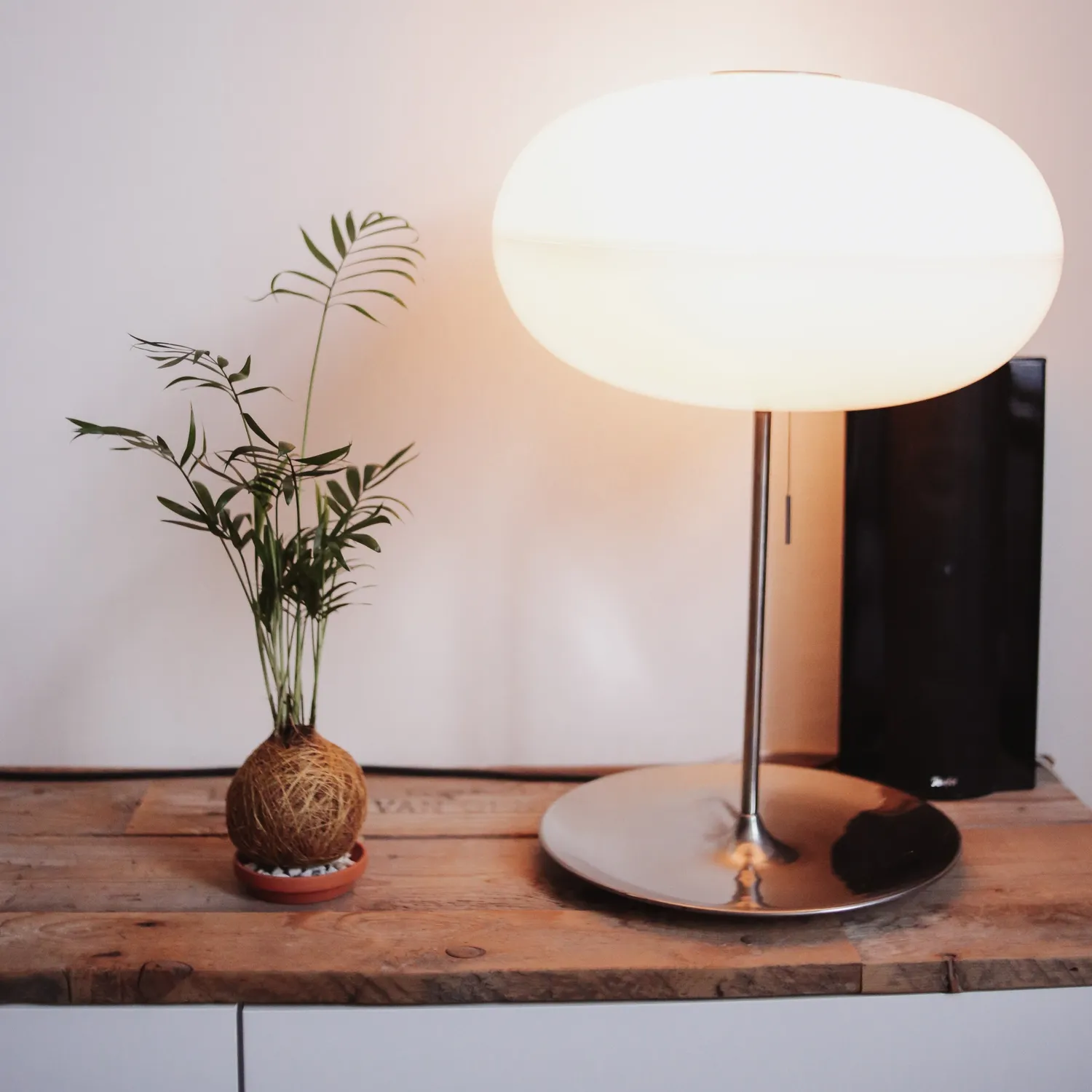 House of Koko Palmpje Kokedama zonder schaaltje luchtzuiverend