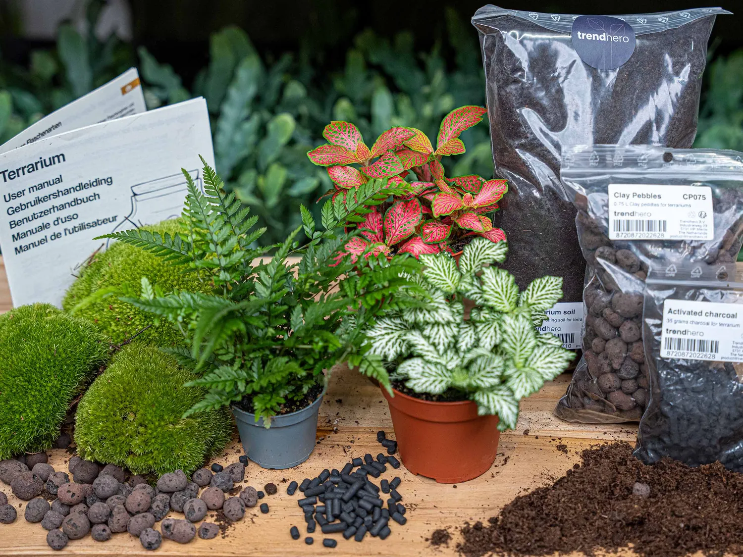 Urbanjungl Varen terrarium navulset L/XL 3 planten