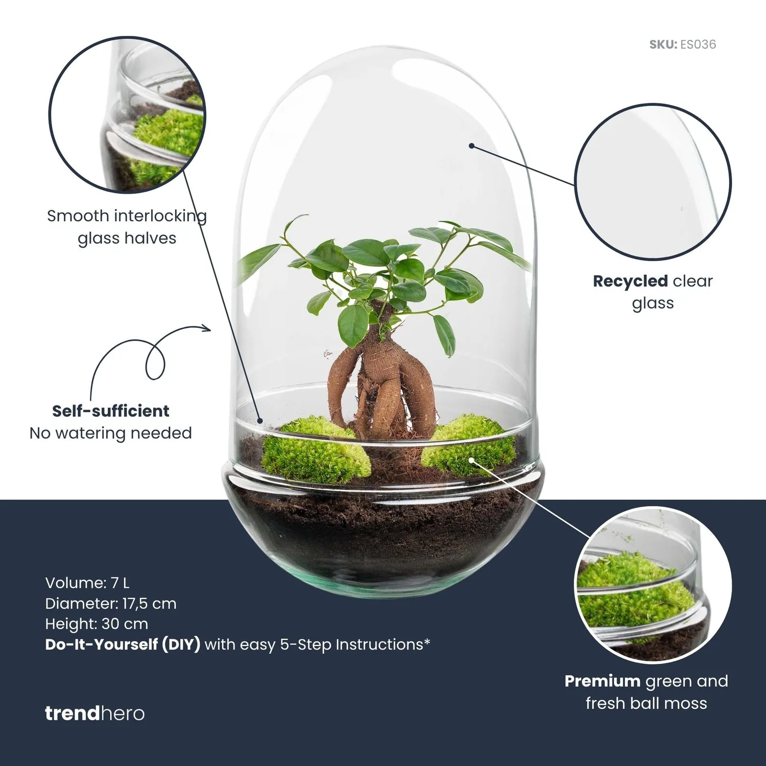 Urbanjungl Egg XL Bonsai planten terrarium kit 30 cm