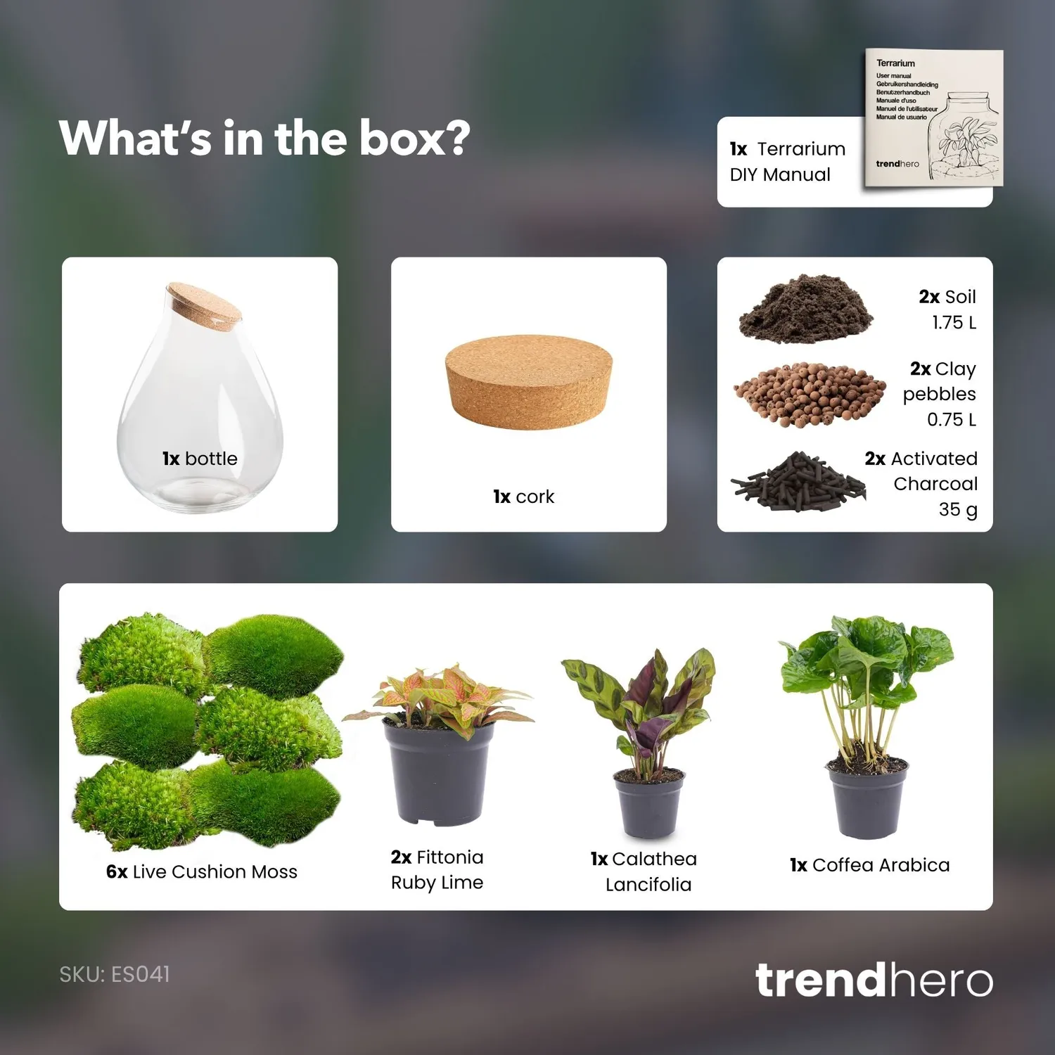 Urbanjungl Drop XXL Rood terrarium DIY kit met kurk Ø34 cm