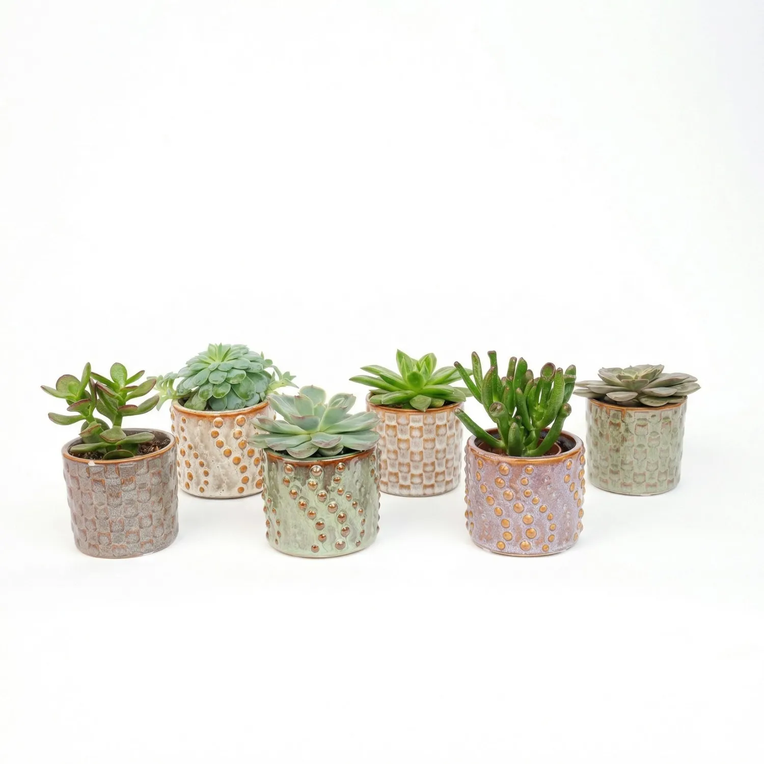Urbanjungl Madrid succulenten set 6 stuks keramiek 8-12 cm