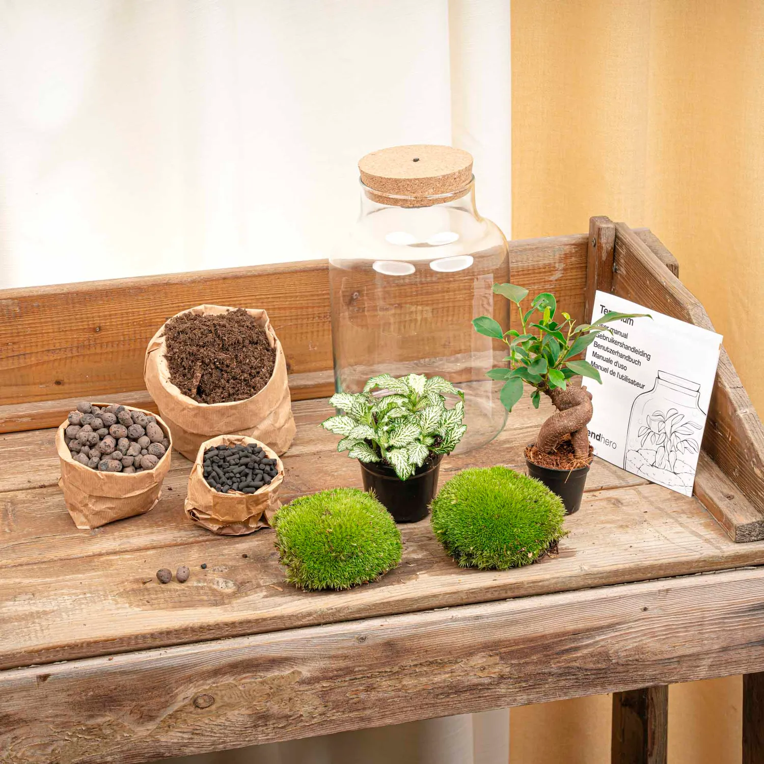 Urbanjungl Little Milky plantenterrarium DIY kit met licht 17 cm