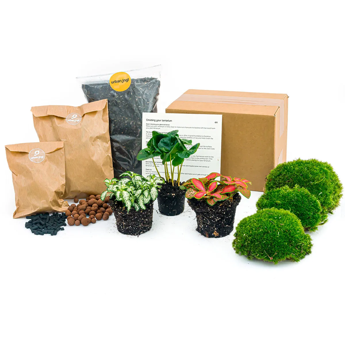 Urbanjungl Coffea Arabica terrarium navulpakket 3 planten