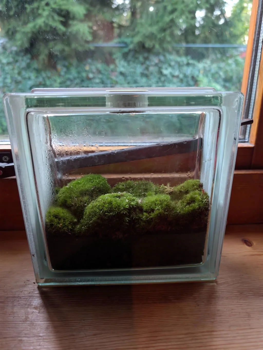 Urbanjungl navulling startpakket S/M terrarium refill