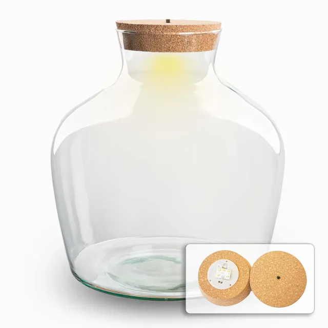 Urbanjungl Fat Joe terrarium fles 29 cm met LED-kurk