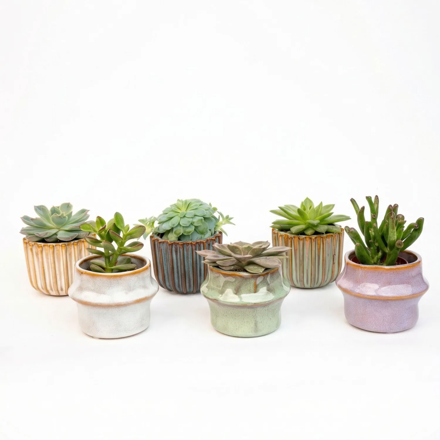 Urbanjungl Barcelona succulenten set 6 keramiek 8-12 cm