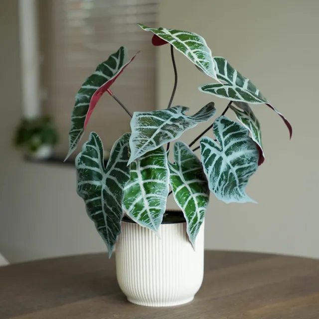 Urbanjungl Alocasia Bush kunstplant 40 cm onderhoudsvrij