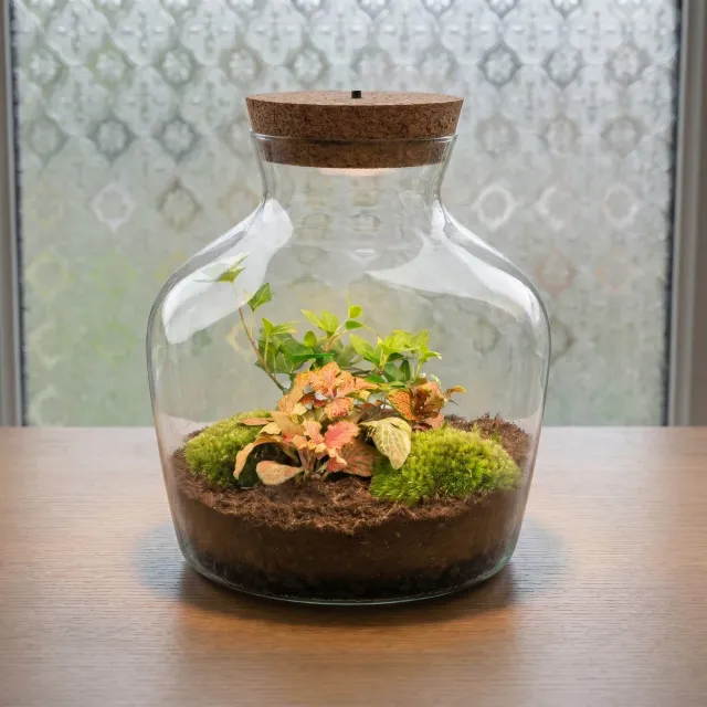 Little Joe Hedera Fittonia Ruby Lime terrarium met licht 20 cm