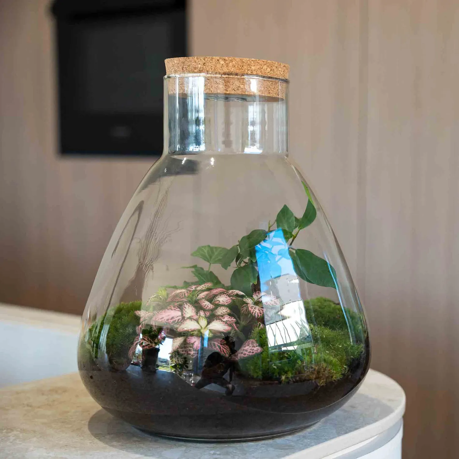 Urbanjungl Sam LOVE MOM terrarium DIY kit met licht