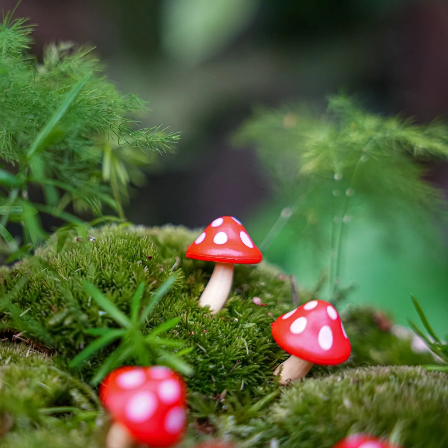 Urbanjungl Paddenpad mini paddenstoelen rood 10 stuks 2 cm