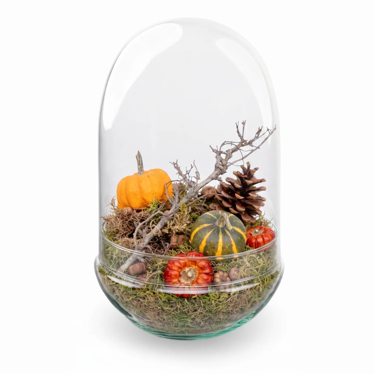 Urbanjungl Egg XL herfst terrarium kit medium 2 stuks